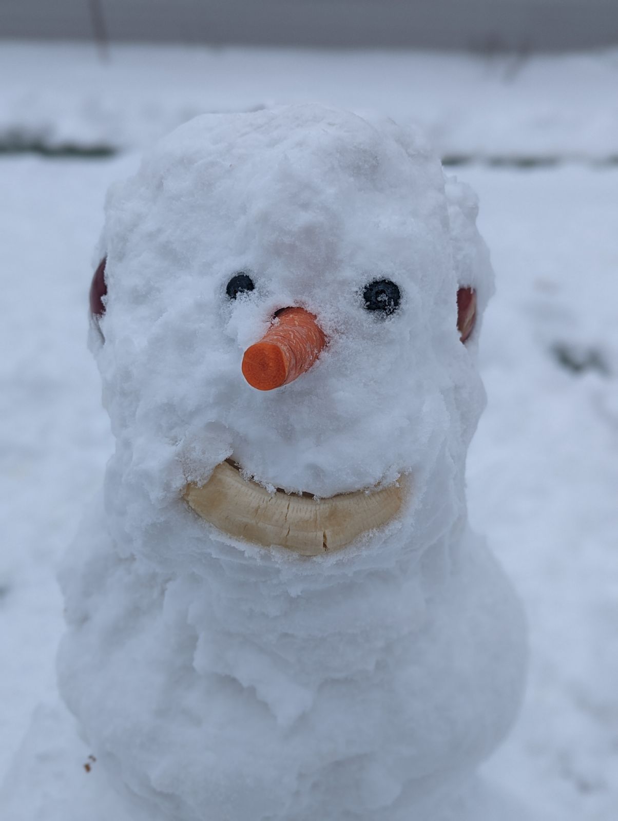 Fruity snowman